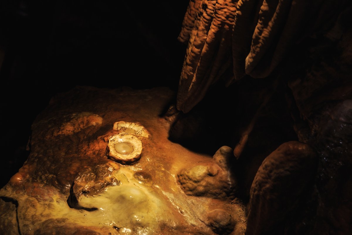 You’ll find this fried favorite in the Caverns, but don’t try and eat them. They’ve been sitting out for millions of years.

A. Chicken
B. Rice
C. Calamari
D. Eggs

ANSWER: D