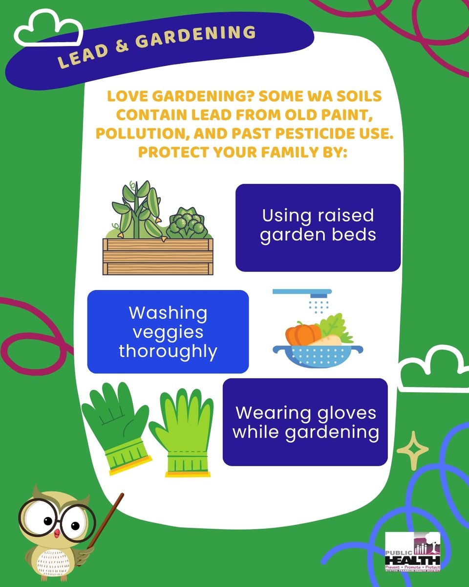 🌱 Some WA soils may contain lead from old paint or past pesticides.

Gardening safely is easy:
✔ Use raised beds
✔ Wash your veggies
✔ Wear gloves

More tips from BFHD: bfhd.wa.gov/programs_servi…
#LeadAwareness #GardenSafe #BFHD