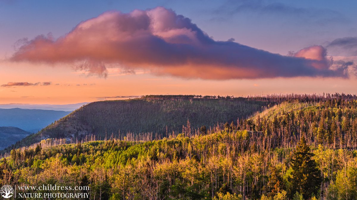 Childressdotcom's tweet photo. ๐ถโ๐ซ๏ธCloud 9 Above Alpine. Morning light spills across the peaks near a ridge-line painting the forest in gold and the sky in dreams. ๐ Thereโs magic in these mountainsโฆ and peace in every breath.
#OnCloudNine #AlpineArizona #NaturePhotography #SunriseMagic #SkyDrama #ForestGlow #VisitArizona #MountainMornings #WildernessTherapy #AZAlpineTrail #NatureLovers #EpicLandscapes