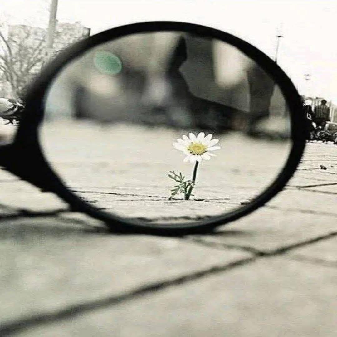 ڵــحۡــنۨ ̨ا̍ڷــڠــڕٰا̍مۘ tweet media