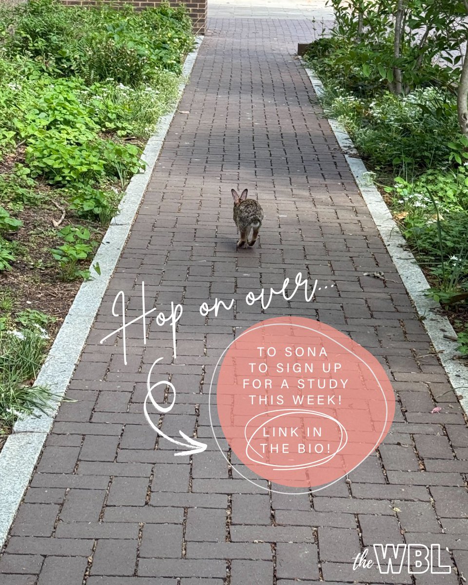 The WBL will resume running in-person studies for the summer starting tomorrow, June 4th! Click the link in our bio or visit: upenn-wbl.sona-systems.com/Default.aspx?R…

Come earn some $$$ and, if you're lucky, you might run into Steinberg-Dietrich's resident bunny! 🐰🥕