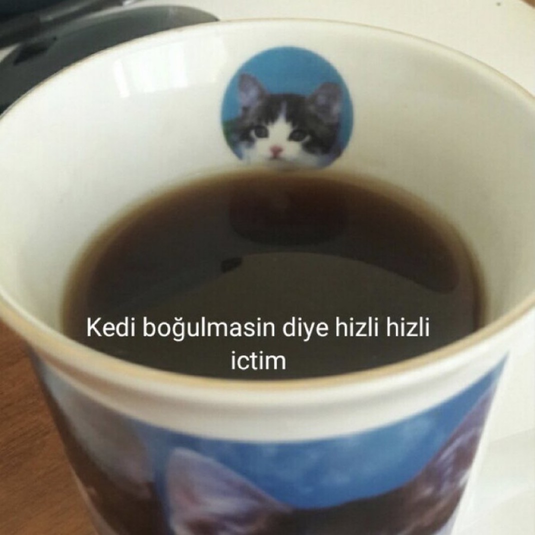 Alnı Öpülesi Tivitler (@alniopulesitivt) on Twitter photo 