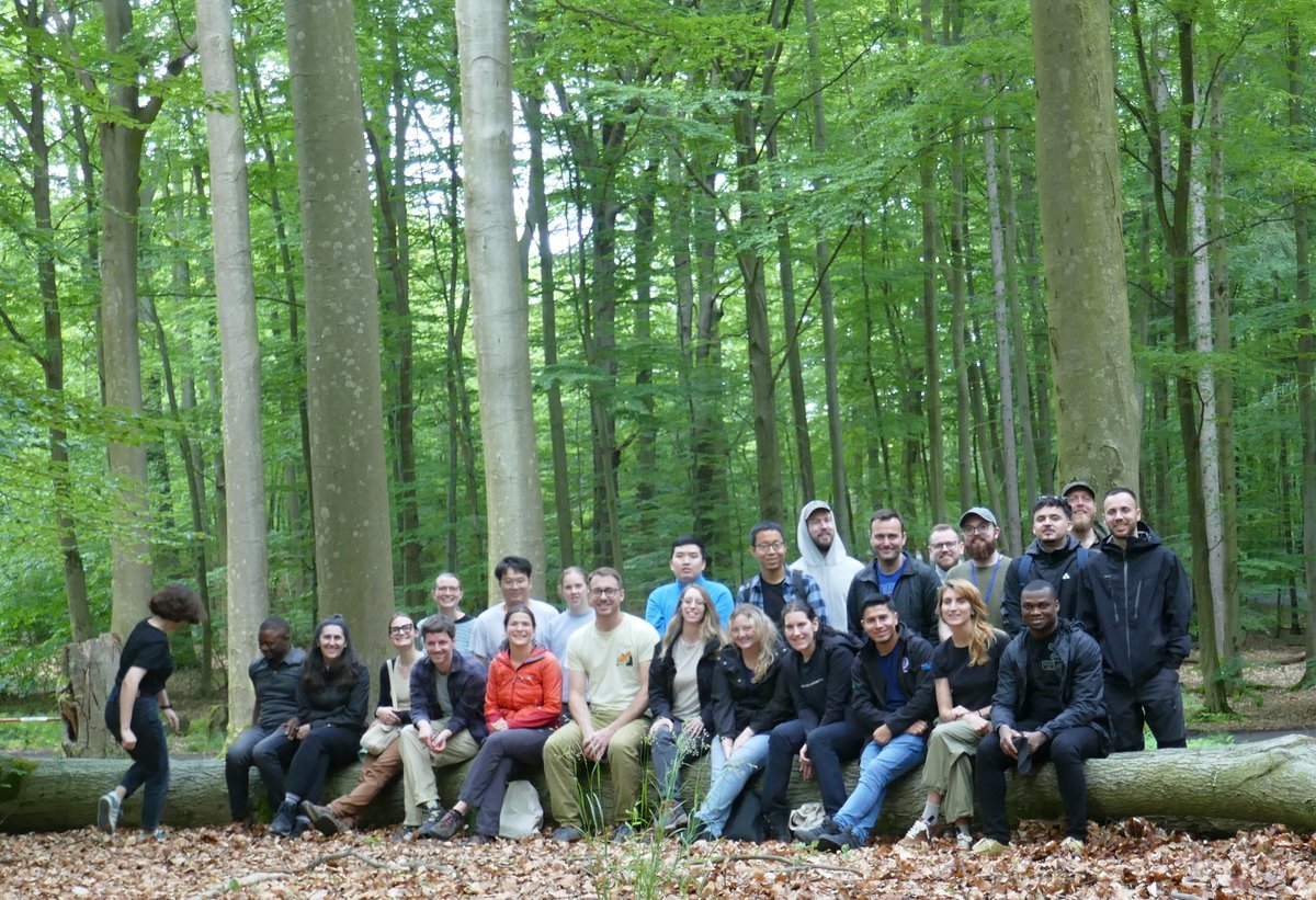 Field trip in the Kostelec nad Černými lesy during EarthBridge Summer School - Remote sensing of Forest. earthbridge.eu/summer-school/ #foresthealth <a href="/CZUvPraze/">ČZU</a>