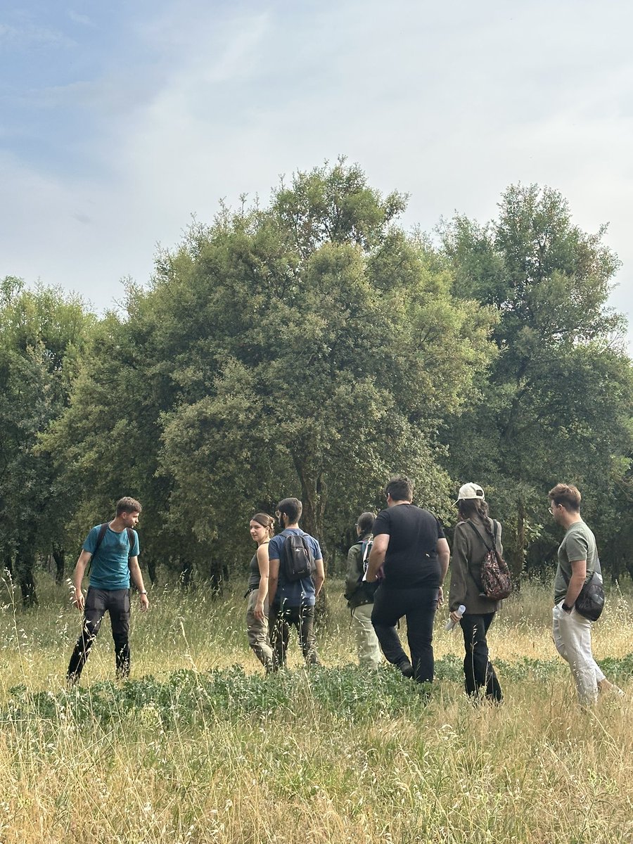 Creo que el paseo por Polvoranca acompañados por <a href="/RinconBotanico/">El Rincón del Botánico</a> organizado por <a href="/Dejoveneslega/">Dejóvenes Leganés</a> en la Semana del Medio Ambiente <a href="/Leganes_MAmb/">Medio Ambiente y Sostenibilidad de Leganés</a> se ha convertido en una de mis fechas favoritas del calendario. ¿Sabías que en Polvoranca hay curry? 👀🌿 Gracias Rubén y Cris! 💚