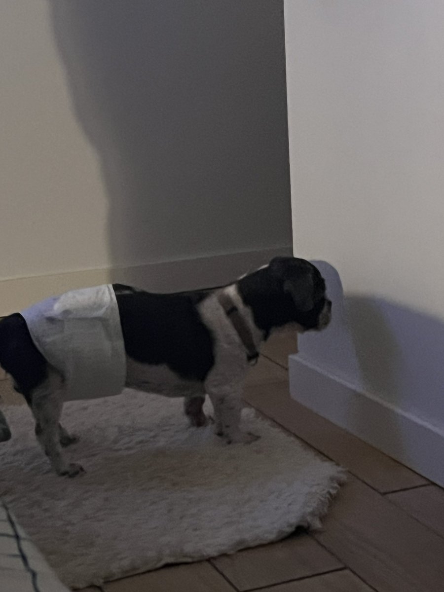 My boy waiting for platform 9 3/4