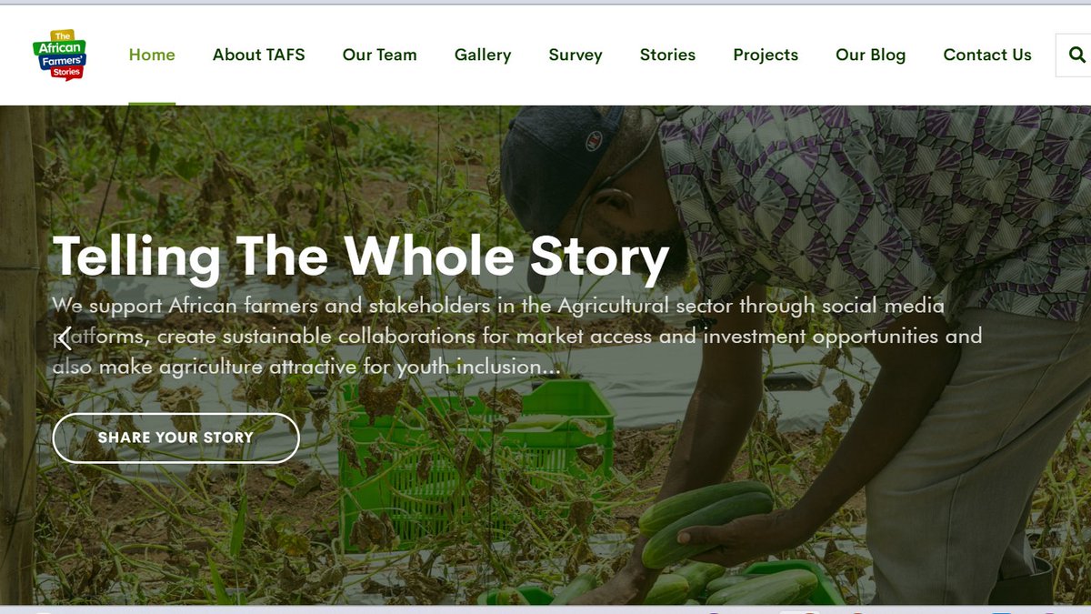 Post a photo or thread of your agri-value-chain journey—tag us and use #AfricanAgriStories #TheAfricanFarmersStories! 
Let’s build a community.