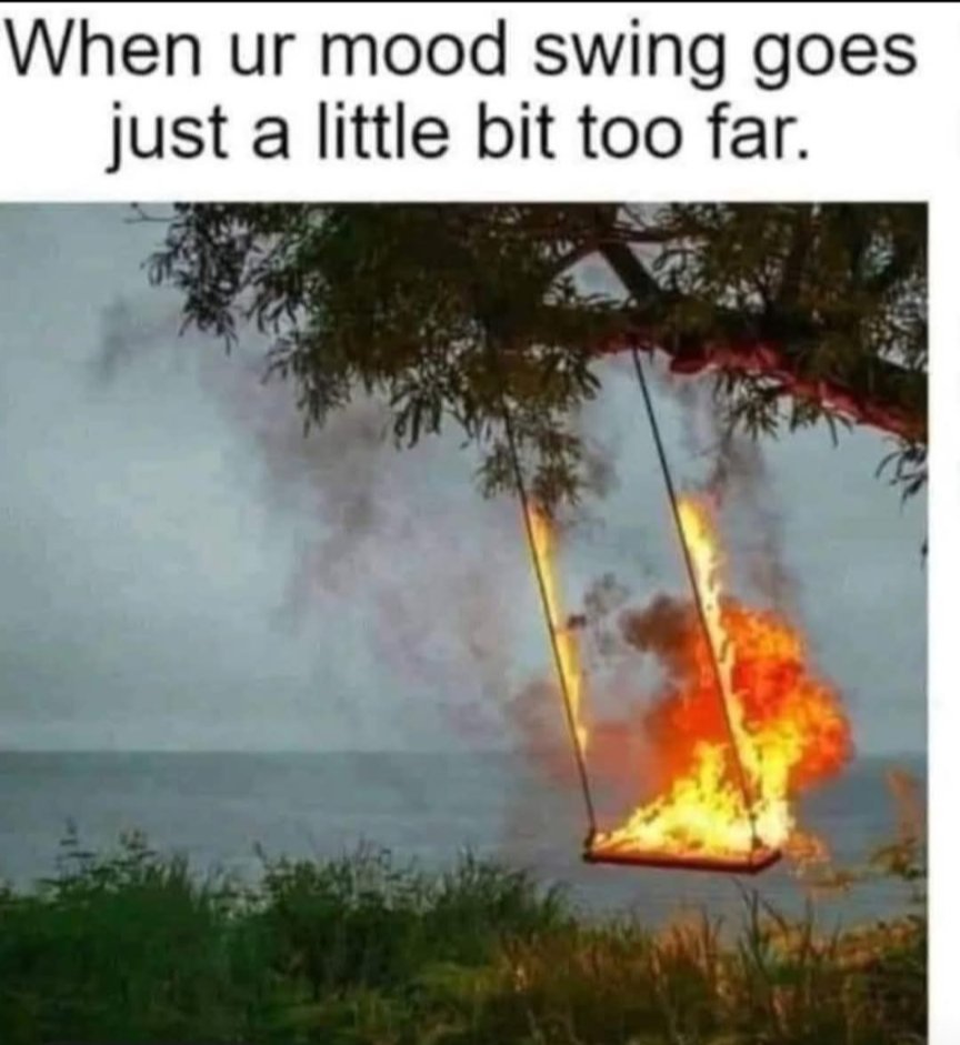 My mood swings be like that 👇