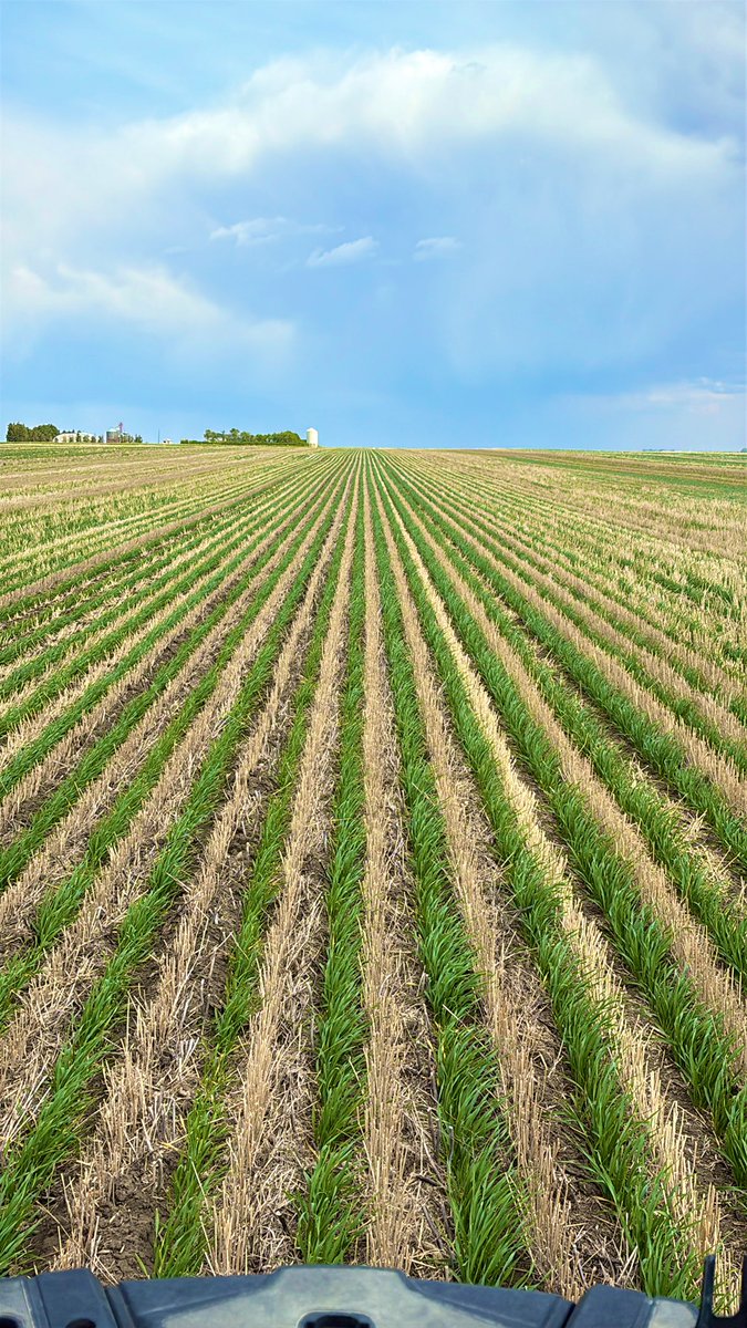 Jakin Lawrence tweet media