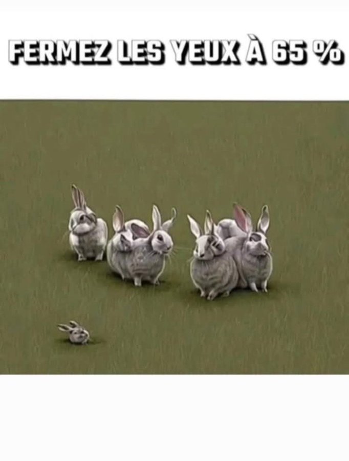 Fiona (@fiona19702023) on Twitter photo 