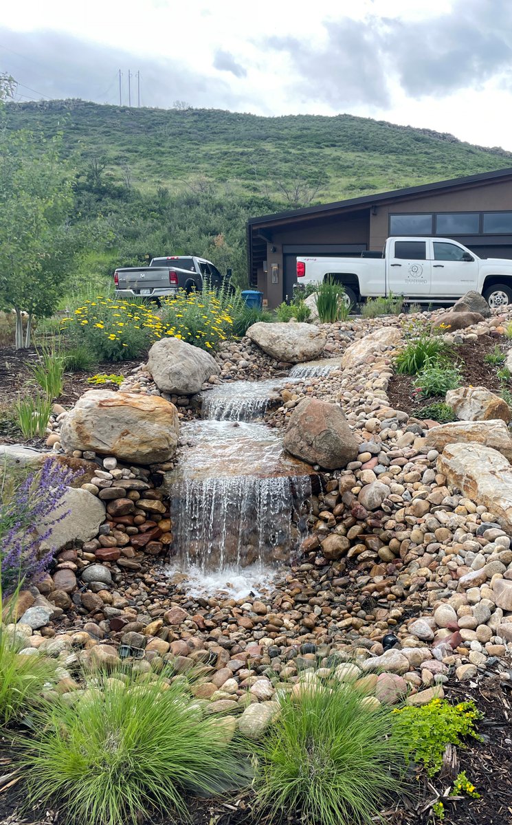 Thunderbird Design tweet media