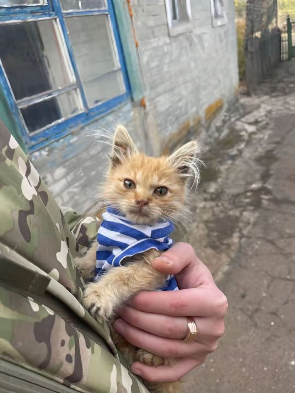 А смотрит как, «Никто кроме нас».