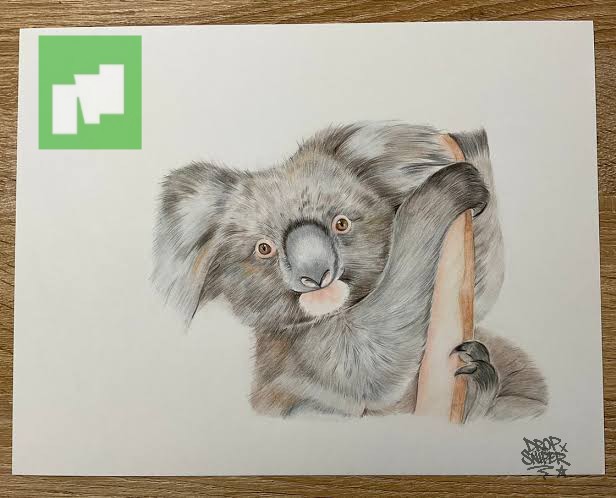DalSahab3's tweet image. Created this cute artwork for the Morphy project — where AI meets creativity 🐨💚

#Morphy #KoalaArt #AIxArt #DigitalSketch #MorphyProject