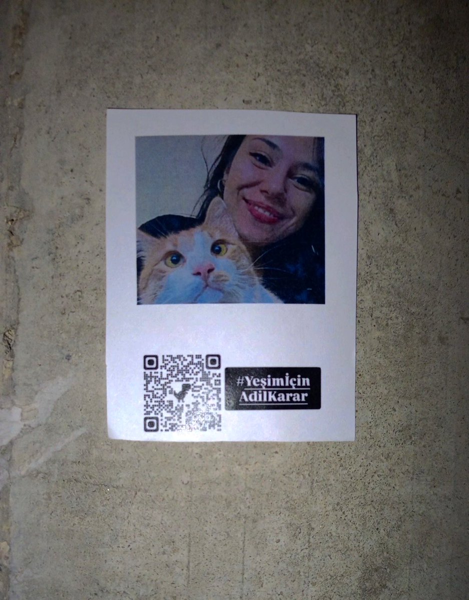 bol bol gönder her sokağa asalim