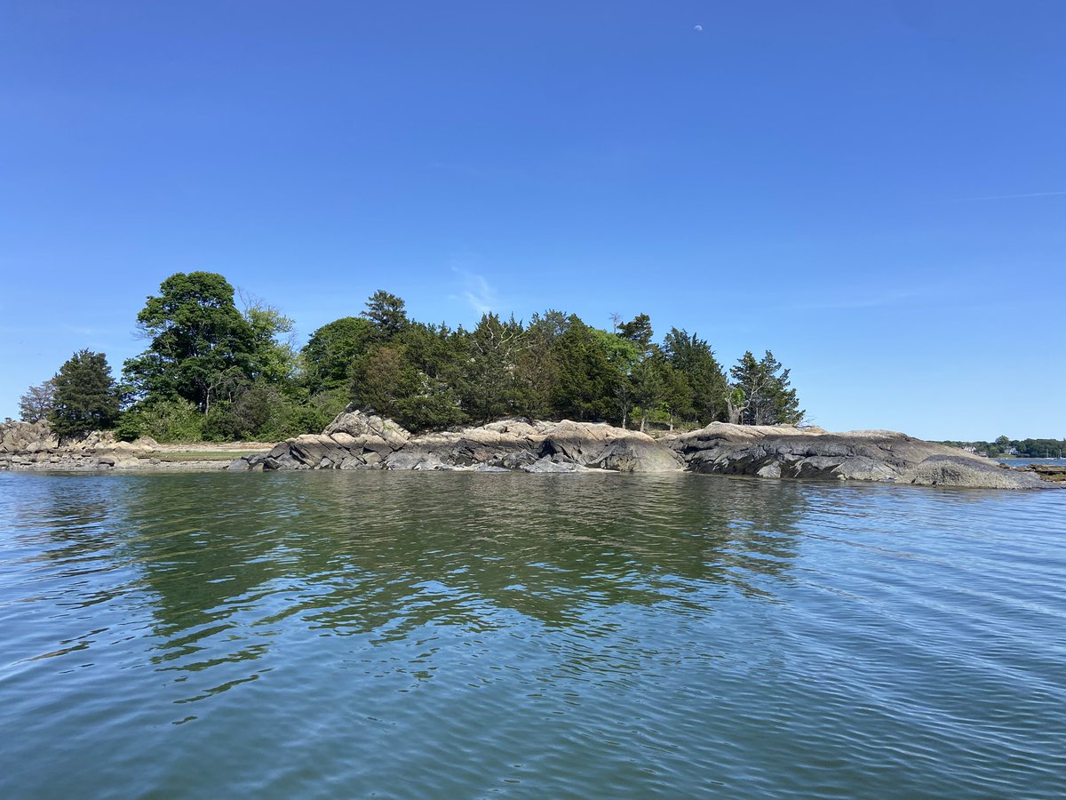 paul_lynch's tweet image. A real beauty of a day today on Boston Harbor.
@ericfisher @jreineron7 @SurfSkiWeather @PeteNBCBoston @1DegreeOutside @Pamelanbcboston @MichaelPageWx