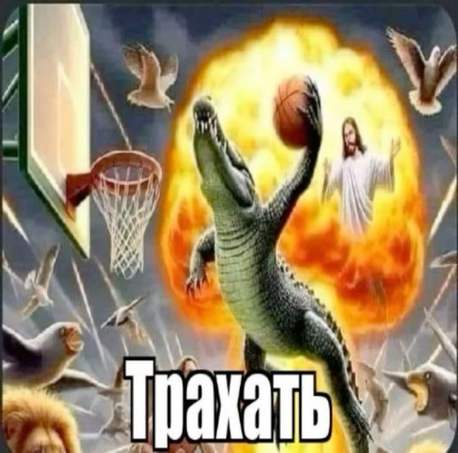 либеральная шушера (@russianbogan) on Twitter photo 