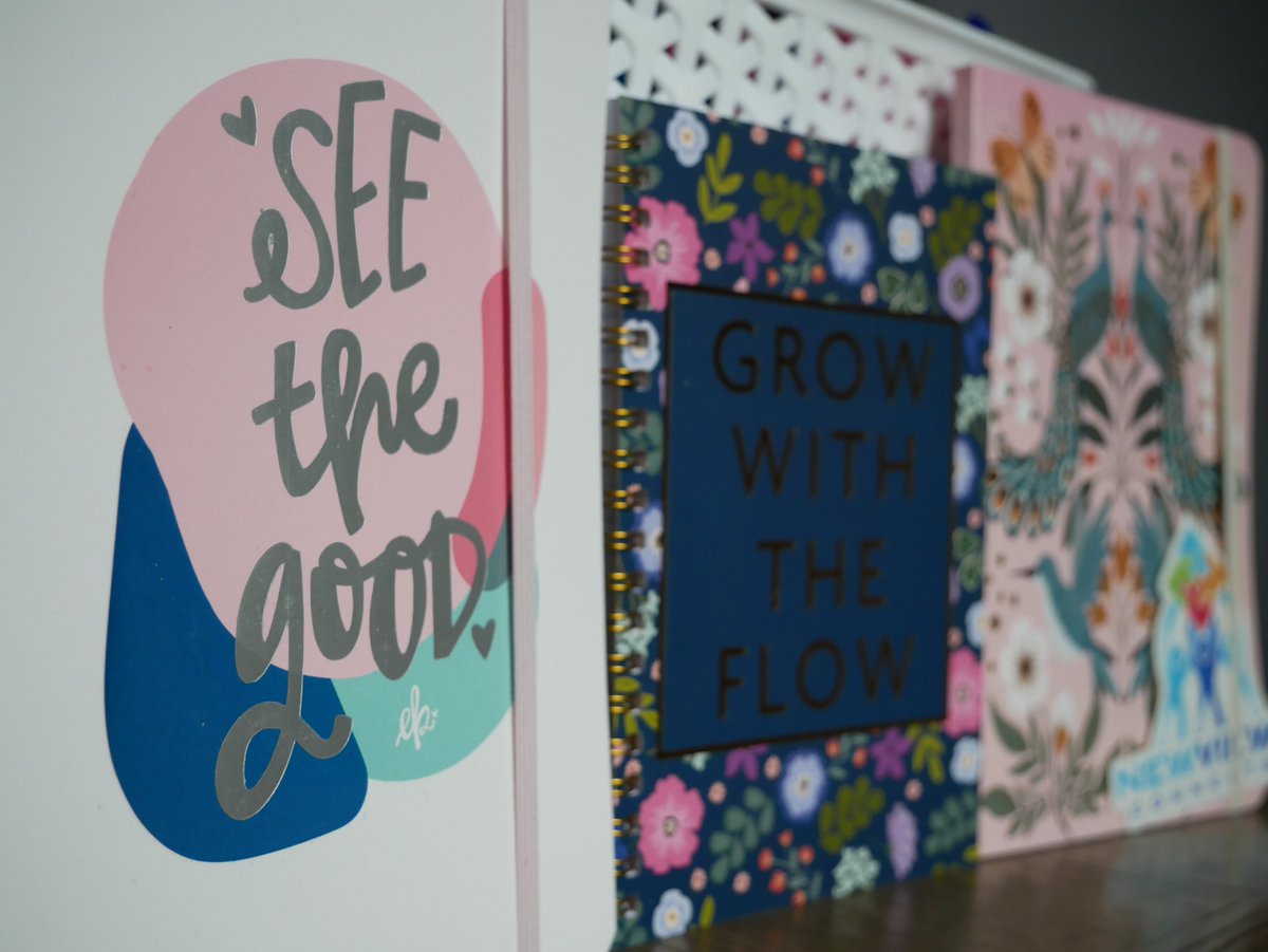 NewviewsConnect's tweet photo. May was Mental Health Awareness Month! 

We did our part in uplifting those in need by donating over 50 journals to The Giving Tree, a nonprofit ran by WHO Counseling Services📚!!

Take care of yourself🩵💙!! https://t.co/eCbSkFP8Pu