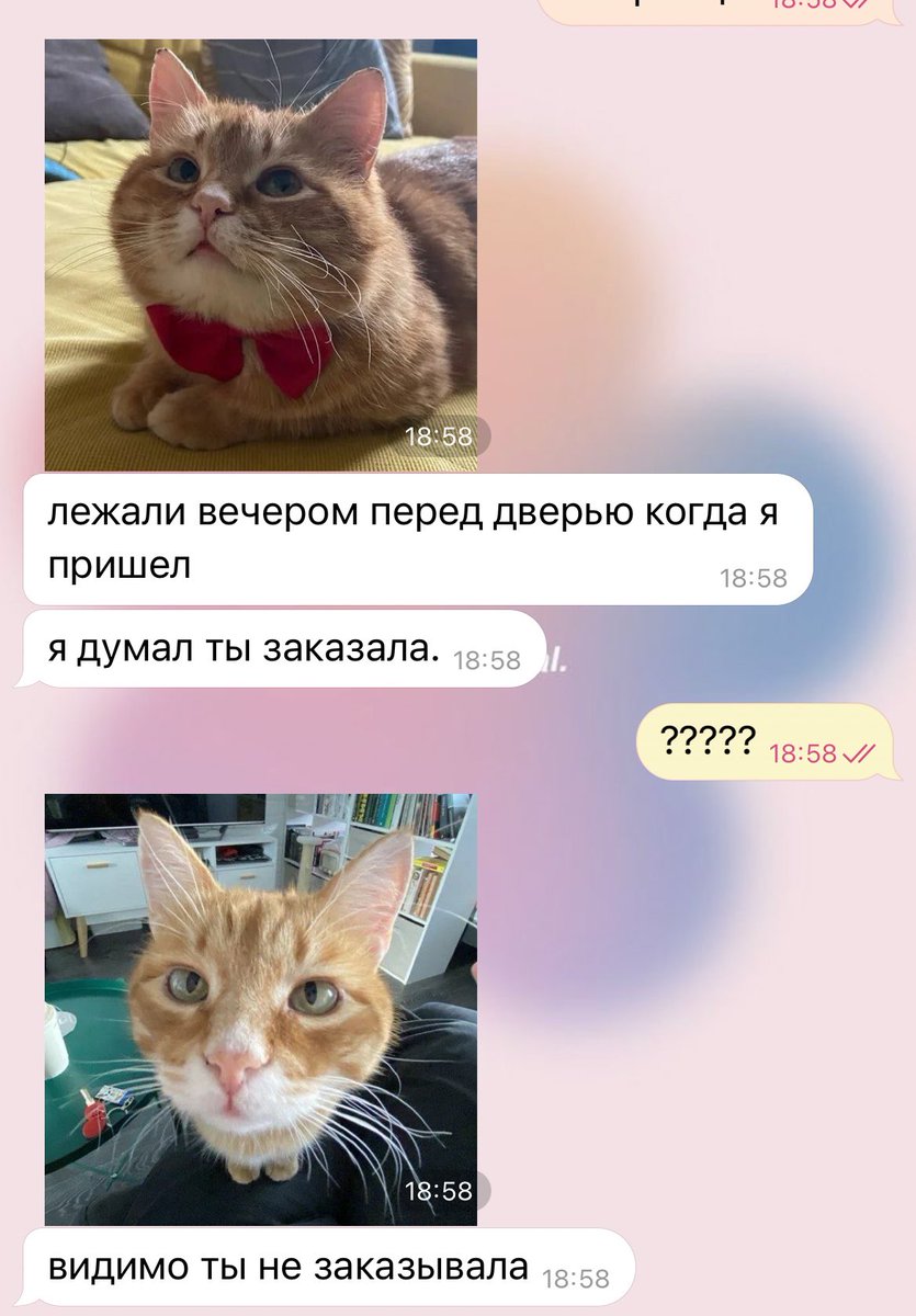 открываю холодильник первый раз больше чем за сутки там лежат вкусвилловские запечатанные в пакете доставки перепелиные яйца и горчица в банке

спрашиваю у макса в чем была задумка этого его заказа