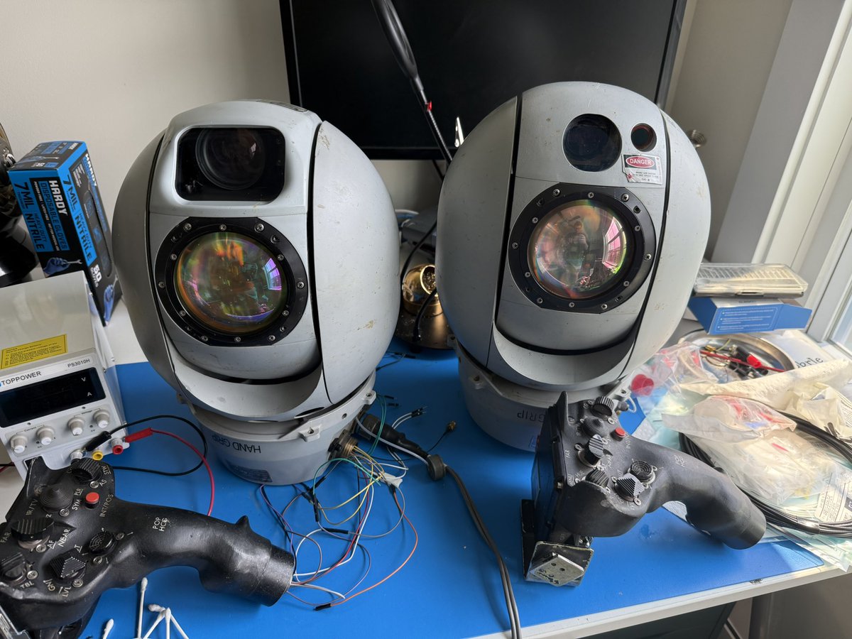 samuel_hayden_'s tweet photo. This is getting out of hand. Now there are two of them! https://t.co/k5R1AtqklW