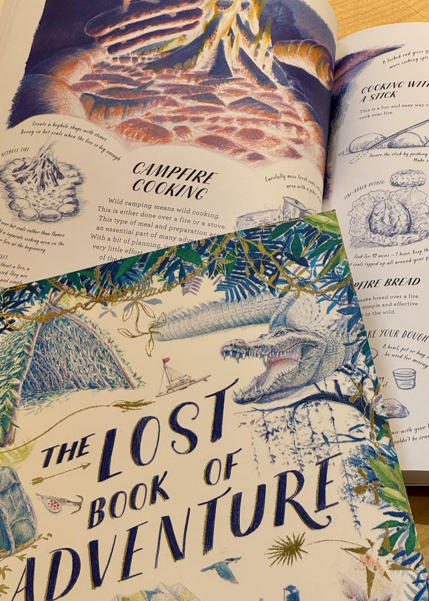 The Lost Book of Adventure is an epic collection of illustrated letters which transports you into the wildest of adventures. 

Capturing the magic of nature, it's a treasure trove of knowledge that will captivate all young adventurers: waterstones.com/book/the-lost-…