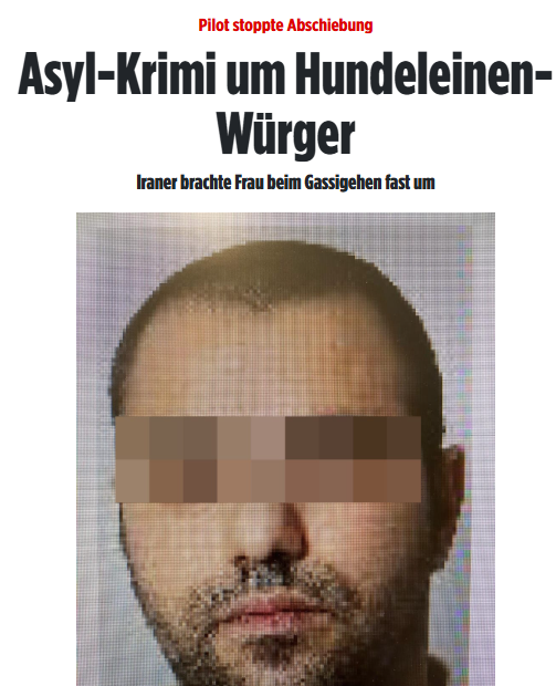 Taykra's tweet photo. #Glinde: Eine Frau geht mit ihrem Hund Gassi, als ihr plötzlich ein Mann die Leine wegreißt. Als sie ihm nachsetzt, wirft er sie zu Boden, kniet sich auf sie und würgt sie mit der Leine. Nur das Eingreifen eines Zeugen verhinderte die Tötung der Frau. https://t.co/J5oLu7OpOJ https://t.co/E23fEpK9UT
