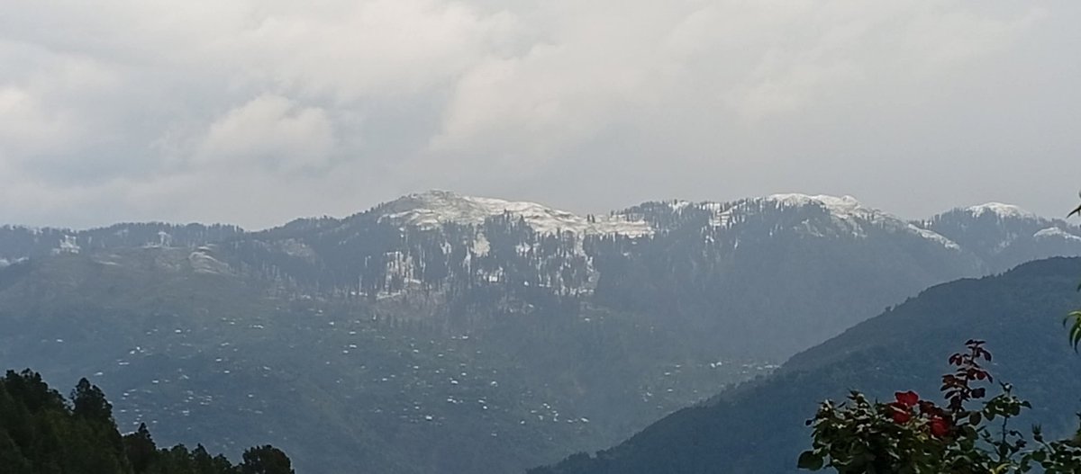 Kamraniat's tweet photo. Unbelievable! ❄️ Snowfall in Naiza Gali, Azad Kashmir on 3rd June — nature’s surprise in peak summer
#SnowInJune #NatureLovers #TravelPakistan #ClimateChange https://t.co/wTm9fy1khd