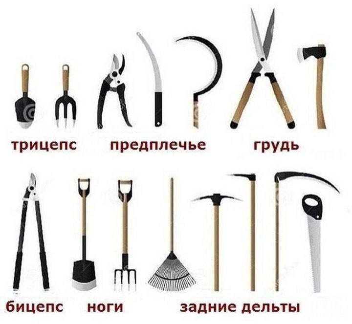 Не благодарите 😏