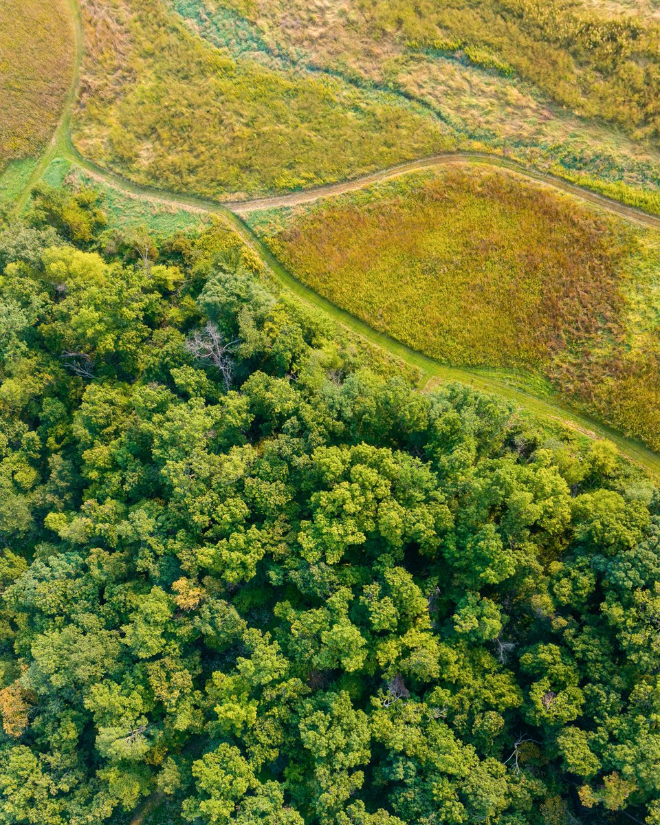 It's never too early to start thinking about access and structure.

The recipe for whitetail dreams: chest high CRP, mix of young and mature timber, security cover, open areas, plenty of natural forbs, mast and planted food, clean strategic access and various conversion points