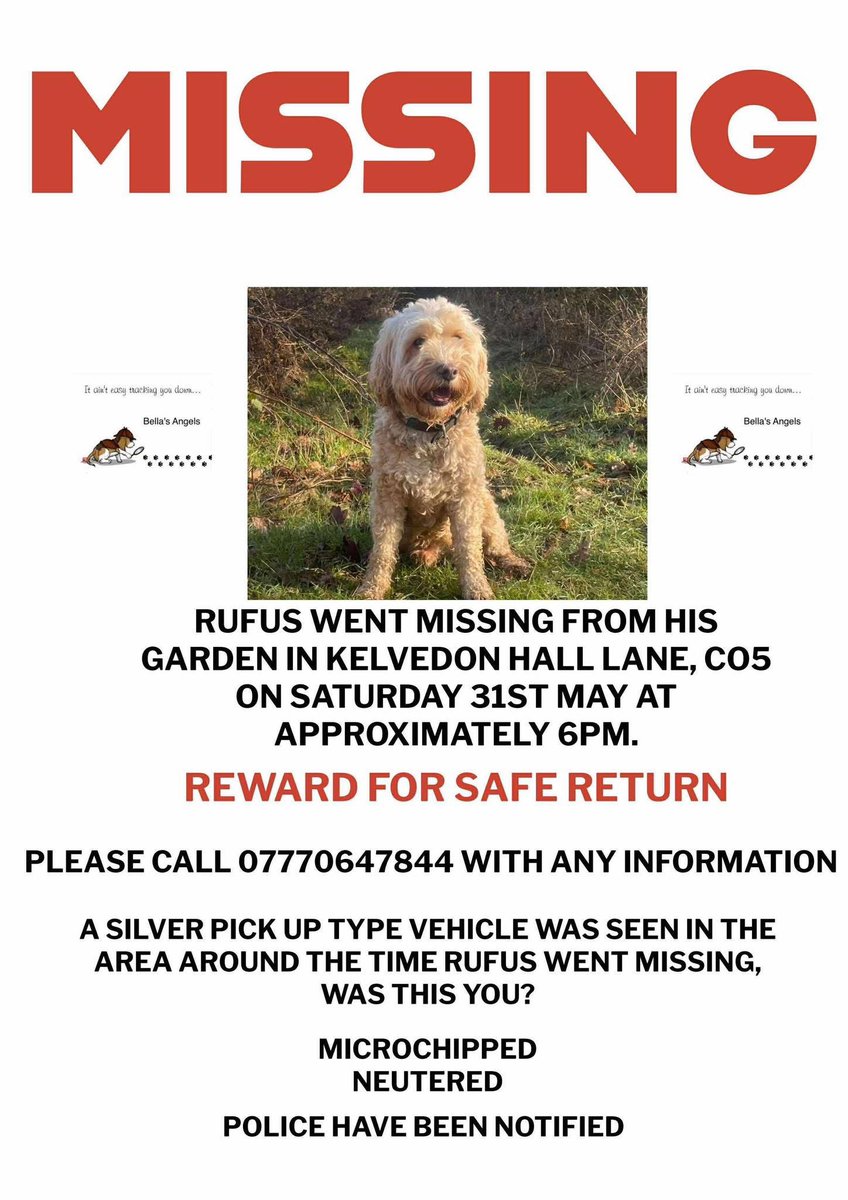 <a href="/EssexPR/">Adam Brooks AKA EssexPR 🇬🇧</a> pls rt 🙏 Rufus is #missing &amp; believed to have been #stolen from his home in Kelvedon hall lane #essex CO5 area on 31st may 

a silver type pickup truck was seen in the area Rufus was and now he’s vanished , anyone with
Any info pls 📞 #FindRufus essexlive.news/news/essex-new…