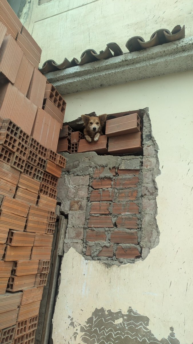 ObakeYT's tweet image. Me sentía vigilado, ahora se la razon