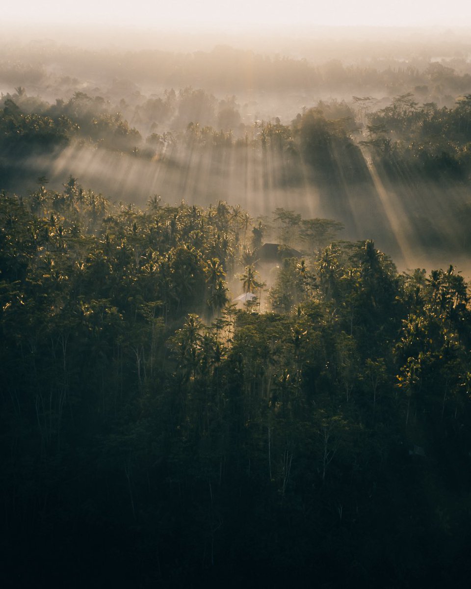 Good morning ☀️☀️