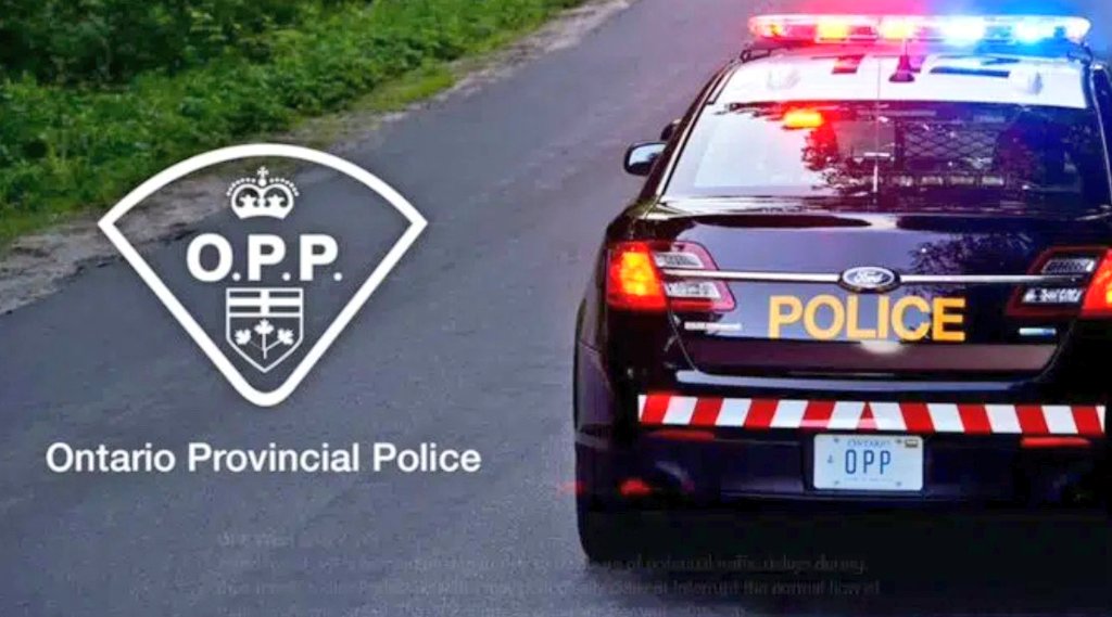 Members of Haliburton Highlands OPP are requesting information regarding an event that took place at Snowdon Park just off Gelert Road in Minden Hills. If you visited the park between Sunday June 1 and Monday June 2 police would like to speak to you. Please contact police at
