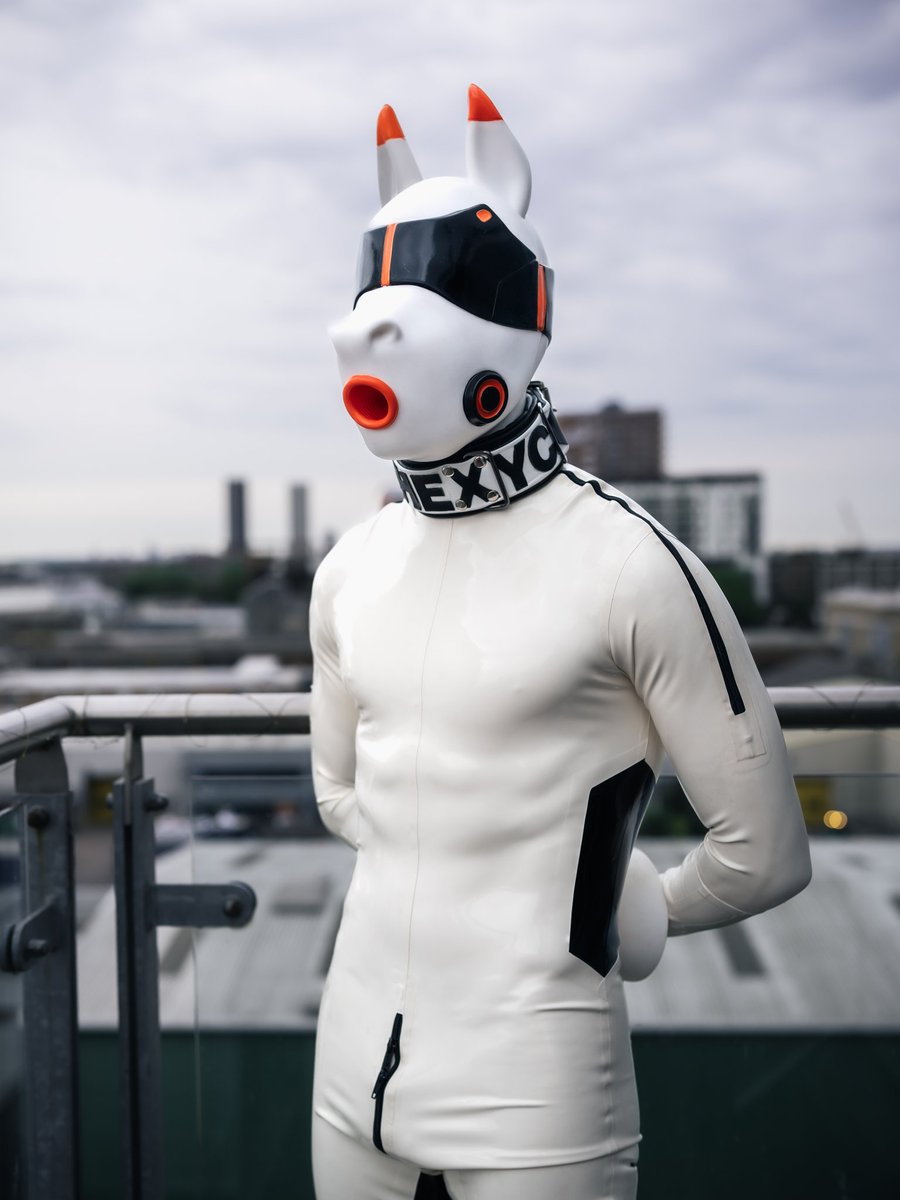 Ready for inspection before a ride

📸: <a href="/pupflint/">flint</a> 
🐴: <a href="/furrjoi01/">FURRJOI</a> #AD