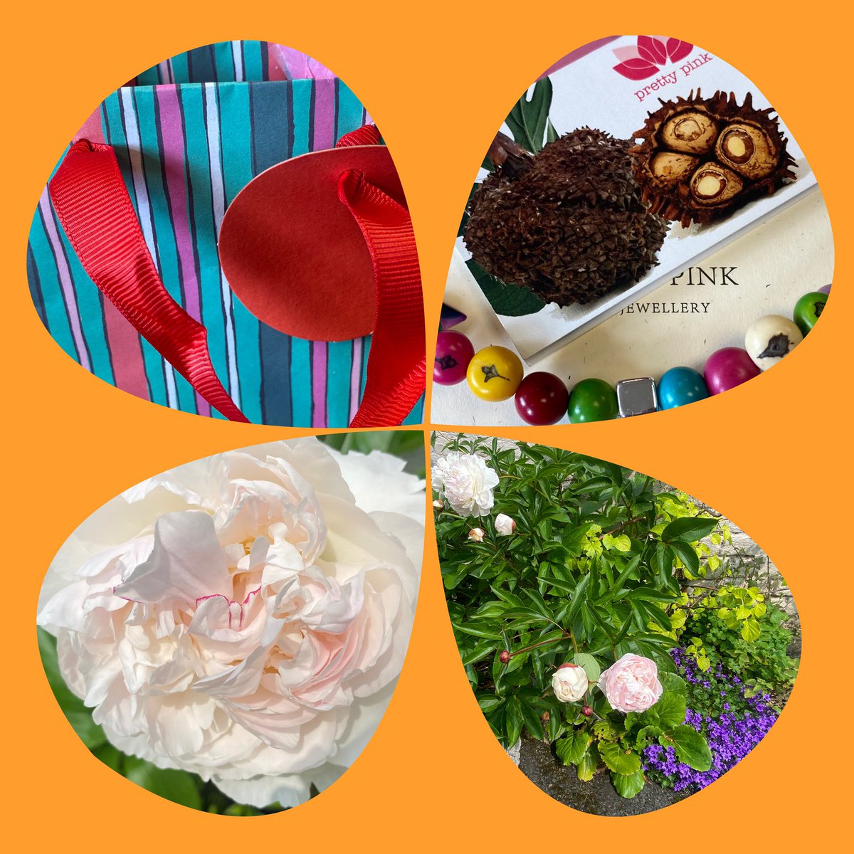 JudeMckerrecher's tweet image. #Tinymomentsofjoy🫶in an evening canal walk &amp;amp; a beautiful swan family; a generous, special gift &amp;amp; chocolate from my secret friend at work; a lovely gift of a bracelet from our kind SQA invigilator team; garden flowers; kindness &amp;amp; thoughtfulness in many contexts🙌#grateful🙏💝🪷