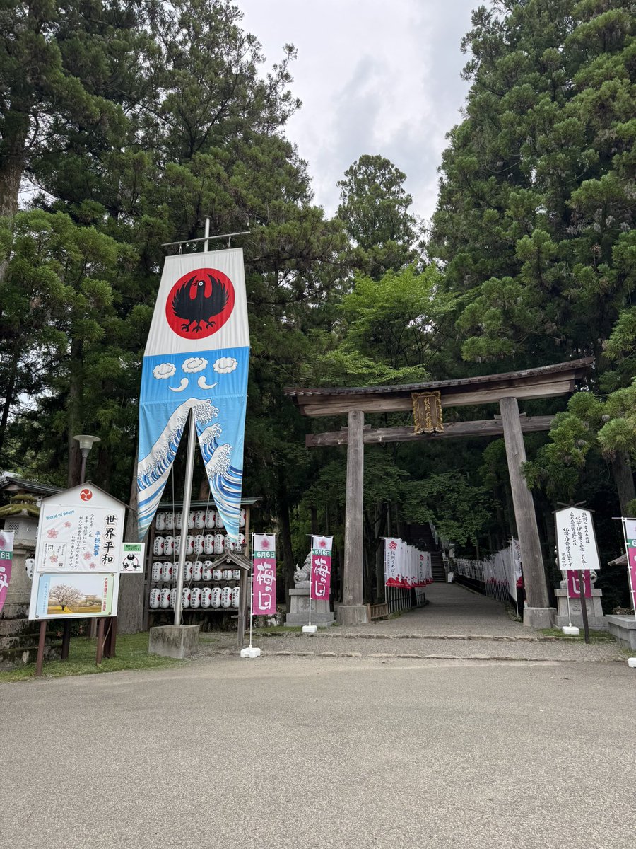 A758ryumechan's tweet photo. 3月以来の玉置神社。8人でご神事へ。宮司さんが珈琲飲んでってって。飲み干したら八咫烏いた🐦‍⬛（笑）
帰り道、一人で熊野本宮へ。
氏子総代会長さんと待ち合わせして。4月のお祭りの集合写真もらってきたよ😊
ありがとうございます😊
玉置神社も熊野本宮大社も私にとって特別な聖地💕

#ドラコミュ https://t.co/3MmJ5K3qKh