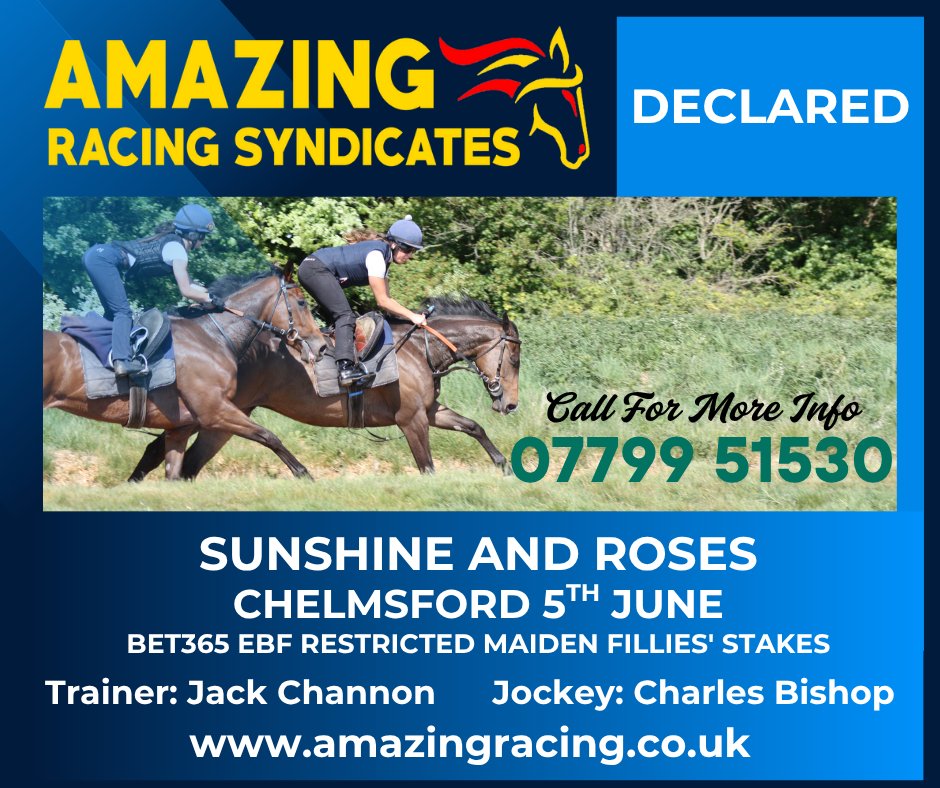 AMAZING RACING SYNDICATES tweet media