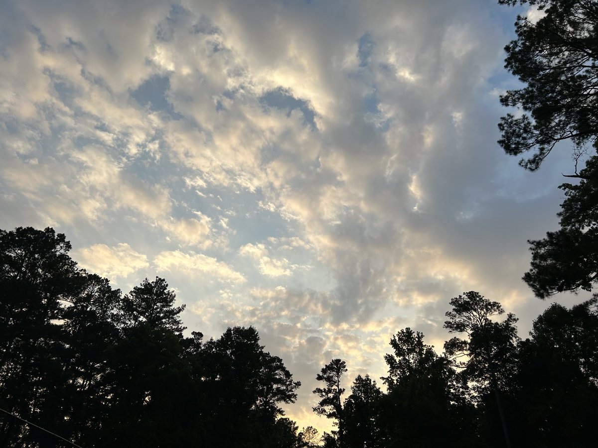 He who loves God is given the grace that seems so incomprehensible, so improbable: to keep his commandments, to be able to fulfill his will. And to those who strive to keep his commandments with his grace, the greater grace is granted to abide in his love…. Ida Friederike Görres