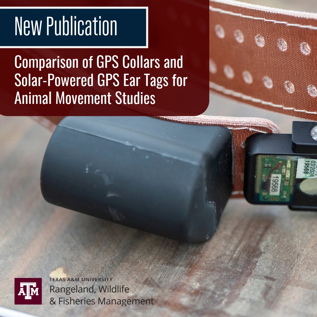 TAMU Department of Rangeland, Wildlife & Fisheries (@tamurwfm) on Twitter photo When conducting studies, researchers work to obtain the most precise data possible. A recent analysis led by RWFM doctoral student Dylan Stewart aims to help scientists do just that. Access the full text at sciencedirect.com/science/articl⦠<a href="/drwebbswildlife/">Stephen L. Webb</a> #WildlifeResearch #GPS When conducting studies, researchers work to obtain the most precise data possible. A recent analysis led by RWFM doctoral student Dylan Stewart aims to help scientists do just that. Access the full text at sciencedirect.com/science/articl⦠<a href="/drwebbswildlife/">Stephen L. Webb</a> #WildlifeResearch #GPS