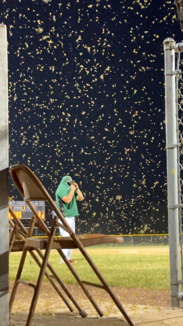 In New Albin playing Kee High, top of 7th inning… Shooky Fink Field was swarmed with Fishflies 

<a href="/iabaseball1/">IAbaseball</a>