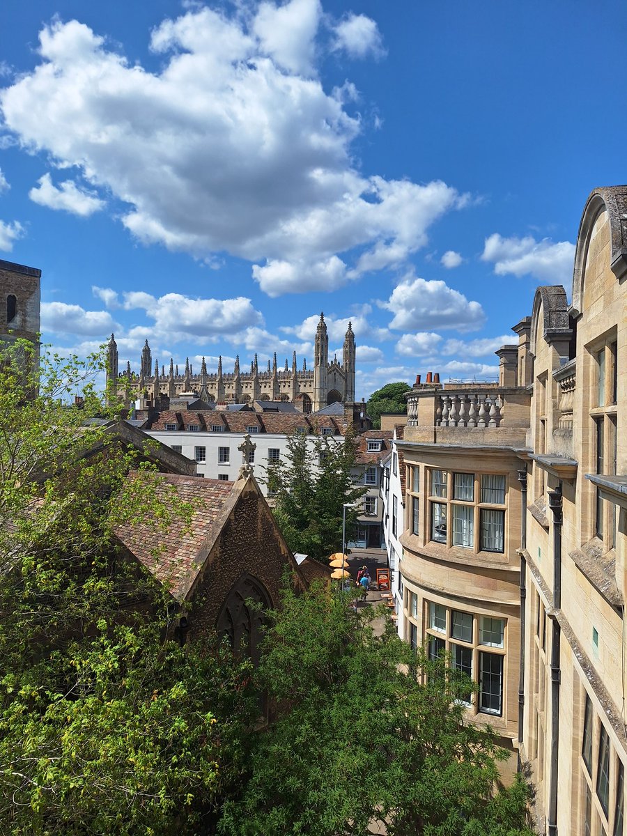 luciahp96's tweet image. Really excited to start my postdoc in @sjblakemore's lab at @Cambridge_Uni
We will investigate microstructural brain developmental pathways in typically developing and neurodiverse adolescents, and how they are associated with mental health and socio-cognitive processing 🧠