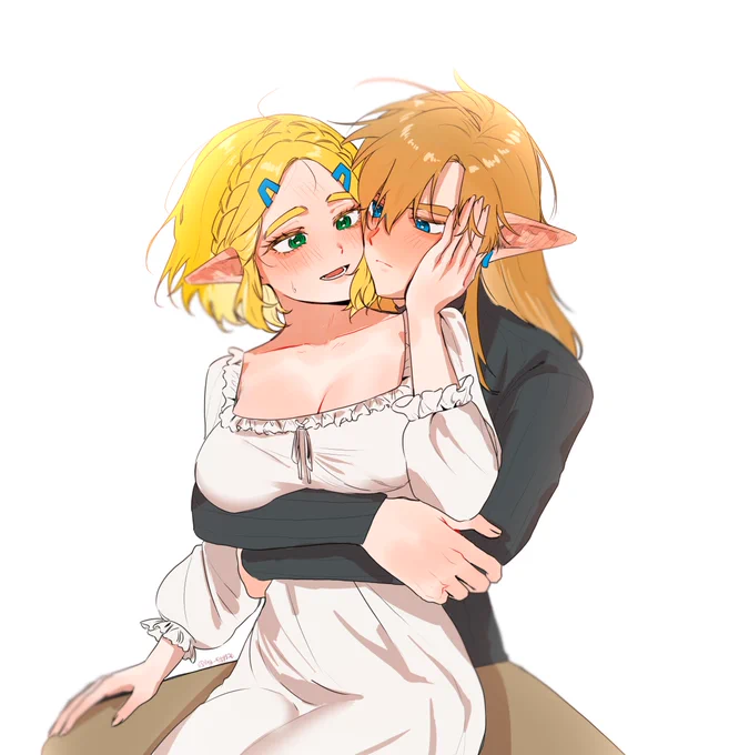#Zelda #Zelink #totk 저 아무데도 안가요