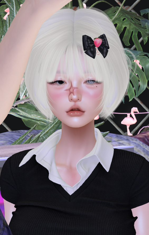 PADO_rabbit's tweet image. -v-//