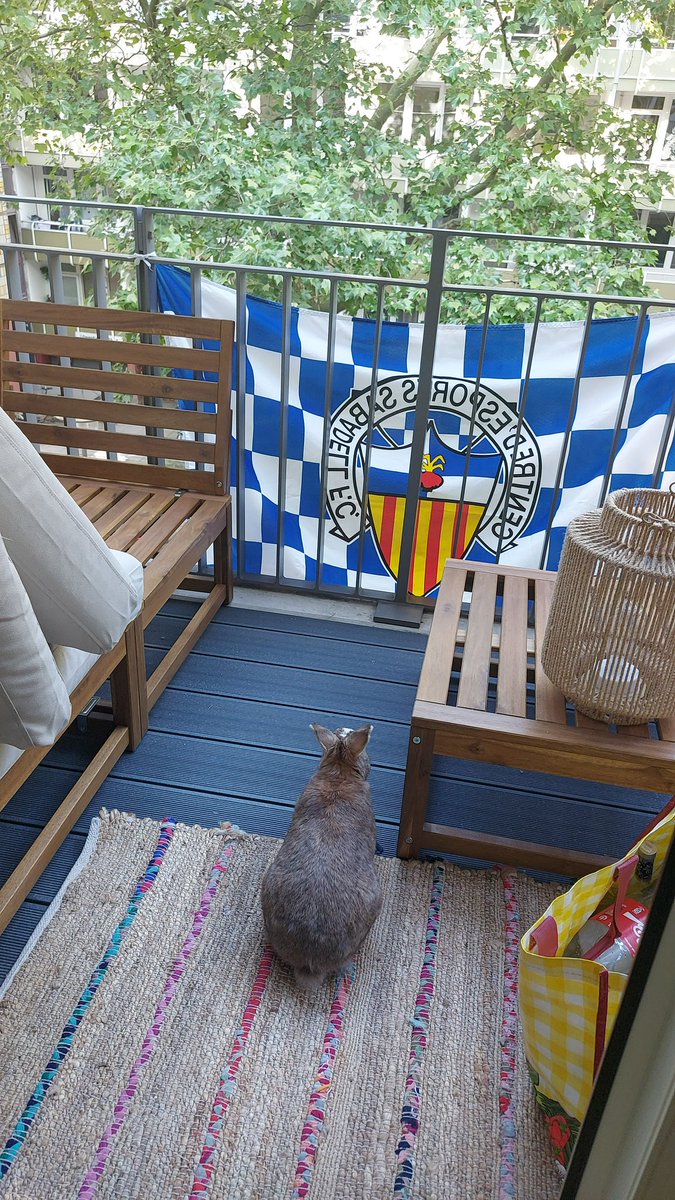 Luis Mora Cuadros (@sete_lmc) on Twitter photo En Berlín seguimos celebrando el ascenso del <a href="/CESabadell/">CE Sabadell 🧅</a> !!!
El año que viene disfrutaremos de <a href="/Primera_RFEF/">Primera Federación Versus e-Learning</a> En Berlín seguimos celebrando el ascenso del <a href="/CESabadell/">CE Sabadell 🧅</a> !!!
El año que viene disfrutaremos de <a href="/Primera_RFEF/">Primera Federación Versus e-Learning</a>