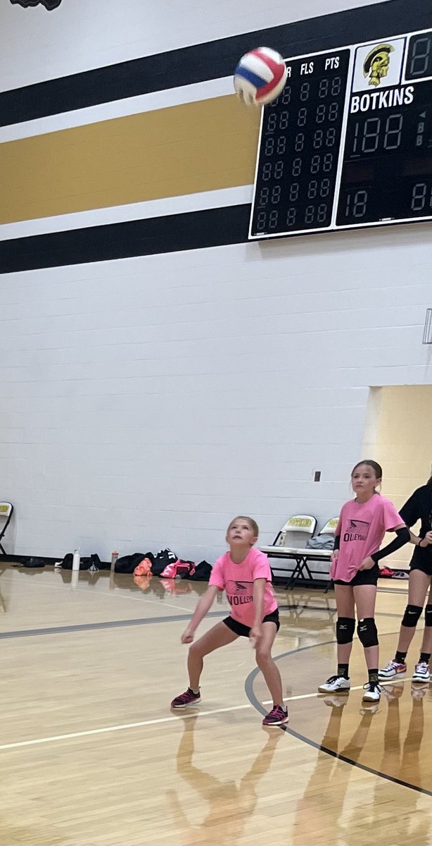 Botkins Volleyball tweet media