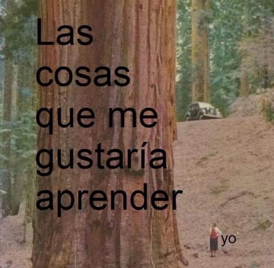 memes feos yo qué sé (@memefeos) on Twitter photo 