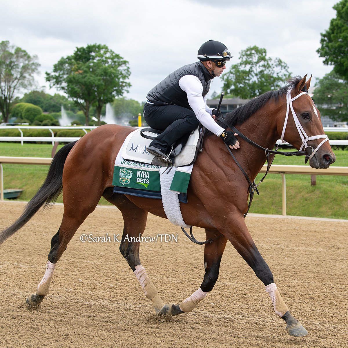 TDN (@thetdn) on Twitter photo Start spreading the news...Heading into Saturday's GI <a href="/BelmontStakes/">Belmont Stakes</a>, GI <a href="/PreaknessStakes/">Preakness Stakes</a> winner JOURNALISM (Curlin) will be the only horse that competes in all three legs of this year's Triple Crown.
The Michael McCarthy trainee, runner-up in the GI <a href="/KentuckyDerby/">Kentucky Derby</a>, recently Start spreading the news...Heading into Saturday's GI <a href="/BelmontStakes/">Belmont Stakes</a>, GI <a href="/PreaknessStakes/">Preakness Stakes</a> winner JOURNALISM (Curlin) will be the only horse that competes in all three legs of this year's Triple Crown.
The Michael McCarthy trainee, runner-up in the GI <a href="/KentuckyDerby/">Kentucky Derby</a>, recently
