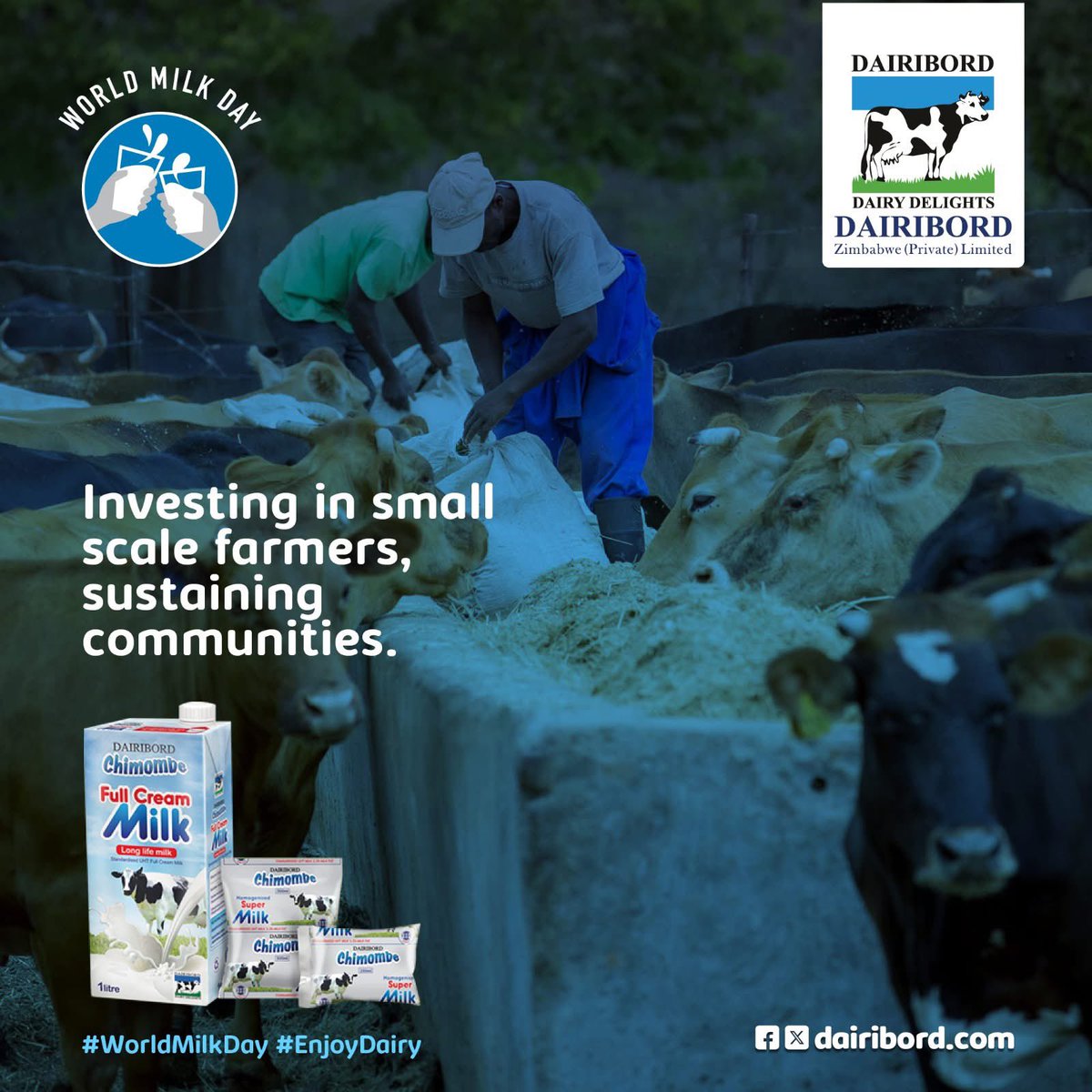 This June, we celebrate the heart of our milk journey — our small-scale farmers 🌾
They’re the start of every drop we deliver.
What do YOU call milk in your language?👇🇿🇼
#GrassToGlass #Dairibord #EnjoyDairy #ProudlyZimbabwean