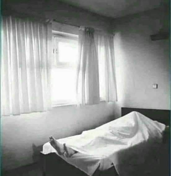 اسے خاموشیاں پسند تھیں
                    سو ہم نے کفن اوڑھ لیا