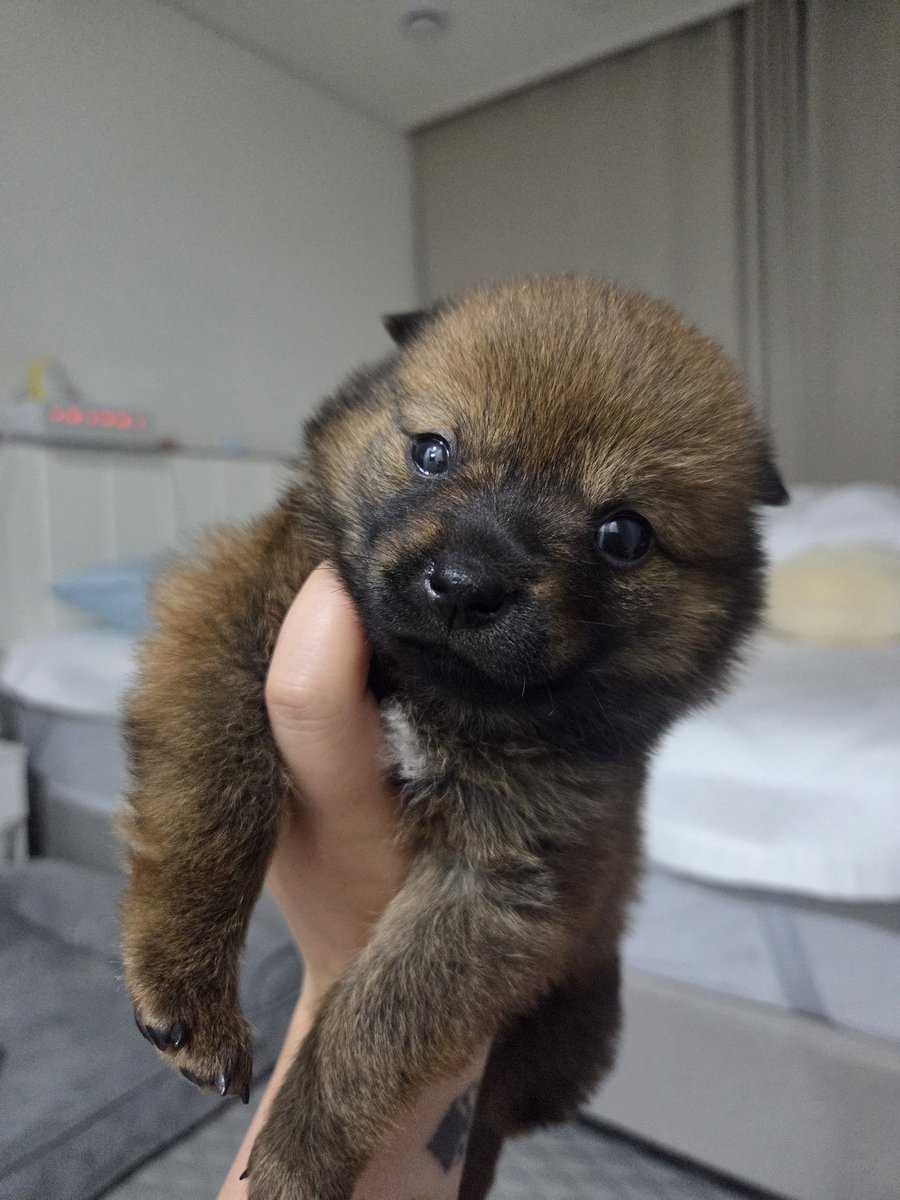 나 안아

                           아니이렇게말고 ..