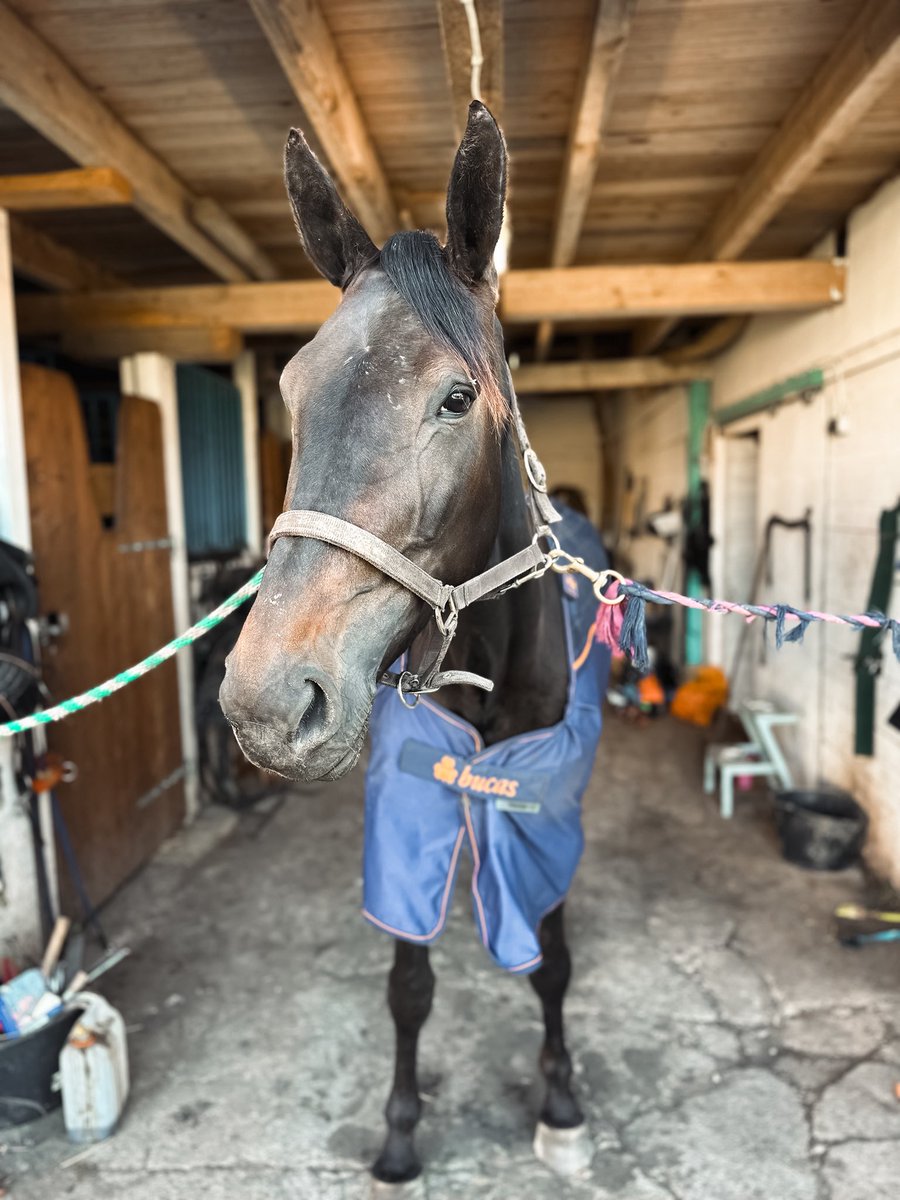 Jonatan Östlund tweet media