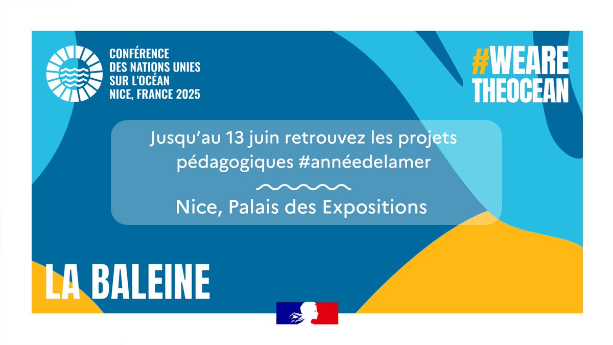 #UNOC3
Découvrez nos projets pédagogiques lors de l’#UNOC au palais des expositions jusqu’au 13 juin !
📅 Le programme des animations est à retrouver ici : ac-nice.fr/unoc3
🌊 L’événement est ouvert au grand public sur inscription 👉 we-are-the-ocean.com